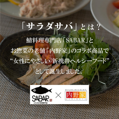 国産 サラダサバ 3種類9食セット 無添加 常温保存