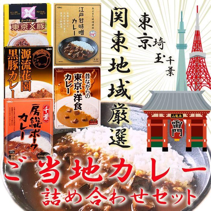 関東厳選ご当地カレー 5種類10食セット