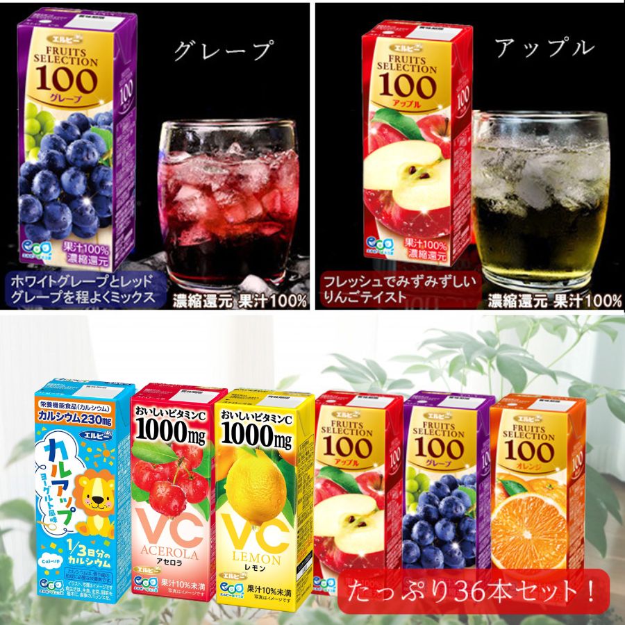 エルビー 紙パック ジュース 6種類36本セット 果汁 カルシウム 飲料