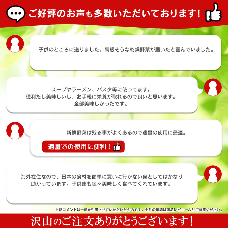 乾燥野菜 国産 ８種類セット九州産 山口県 干し野菜 長期保存食