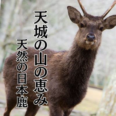 犬猫 国産鹿肉水煮缶 150g 無添加 保存食 防災食 非常食 ジビエ コラーゲン