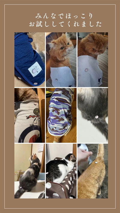 お灸 火を使わないお灸 煙が出ない 温灸 ペット 犬猫 メンタル 温活 おきゅりら 水で温まるお灸