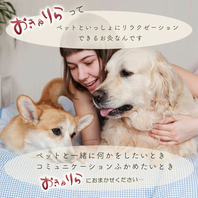 お灸 火を使わないお灸 煙が出ない 温灸 ペット 犬猫 メンタル 温活 おきゅりら 水で温まるお灸