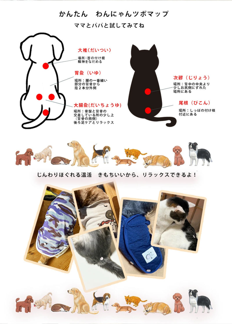 お灸 火を使わないお灸 煙が出ない 温灸 ペット 犬猫 メンタル 温活 おきゅりら 水で温まるお灸