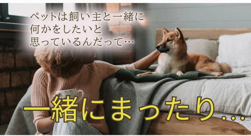 お灸 火を使わないお灸 煙が出ない 温灸 ペット 犬猫 メンタル 温活 おきゅりら 水で温まるお灸