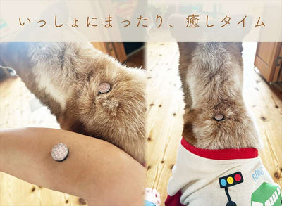 お灸 火を使わないお灸 煙が出ない 温灸 ペット 犬猫 メンタル 温活 おきゅりら 水で温まるお灸
