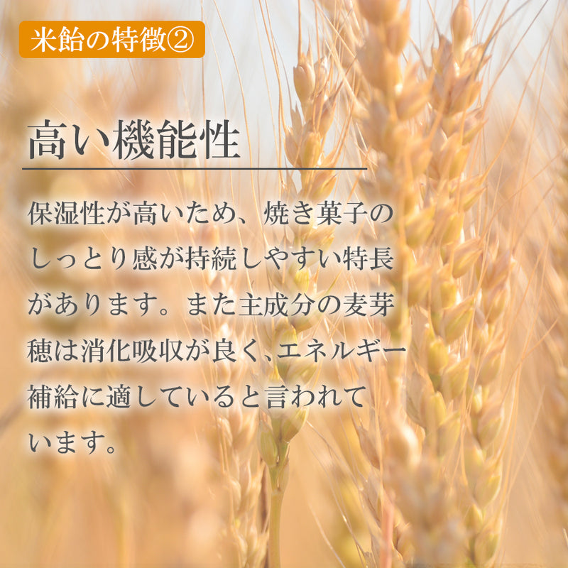 餅米飴 220ｇ（ライス シロップ） 体に優しい 甘味料 国産 ヴィーガン 乳幼児対応 無添加