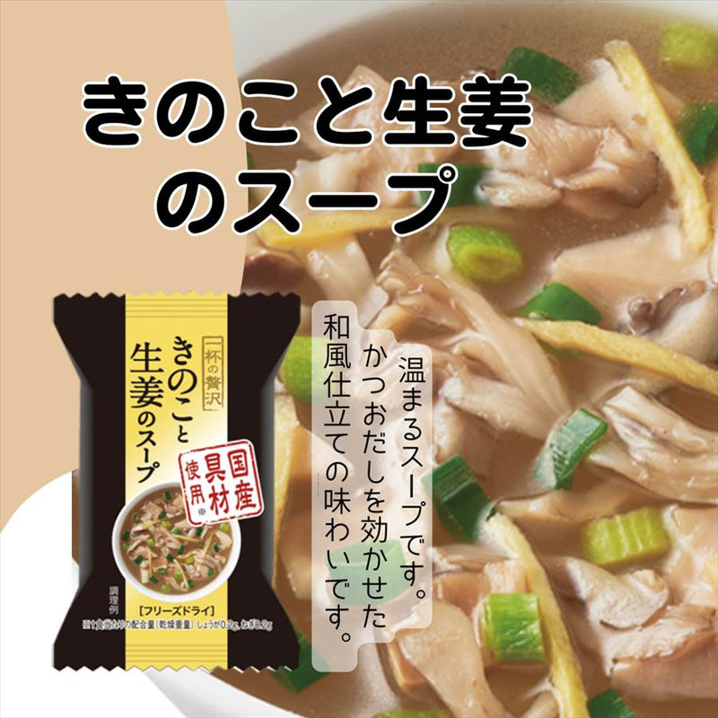 フリーズドライスープ 7種類35食 詰め合わせセット ハチ食品