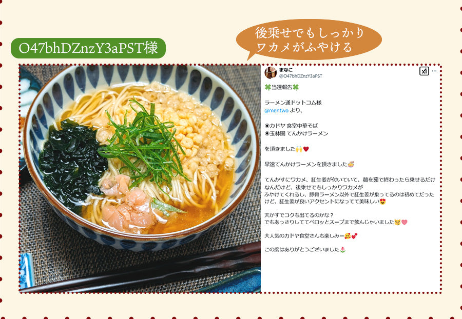 3種の具材付き てんかけ ラーメン 3食入り 和歌山ラーメン 玉林園