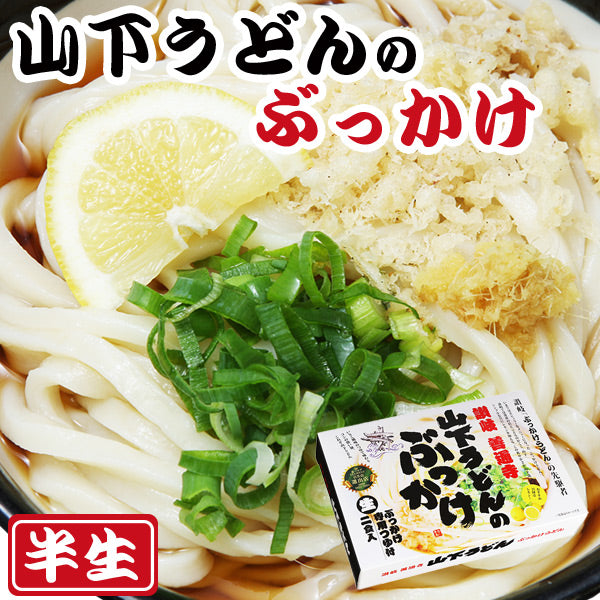 讃岐うどん　山下のぶっかけうどん　2食入（半生麺、箱）常温保存