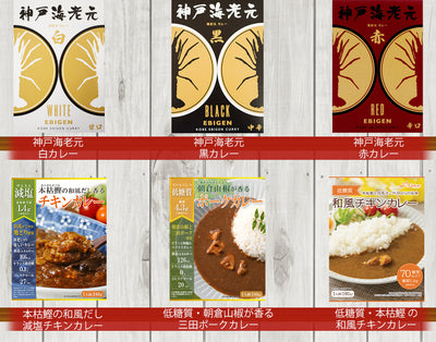 【ギフトボックス】レトルト ご当地カレー 13種類 詰め合わせセット　名物カレー