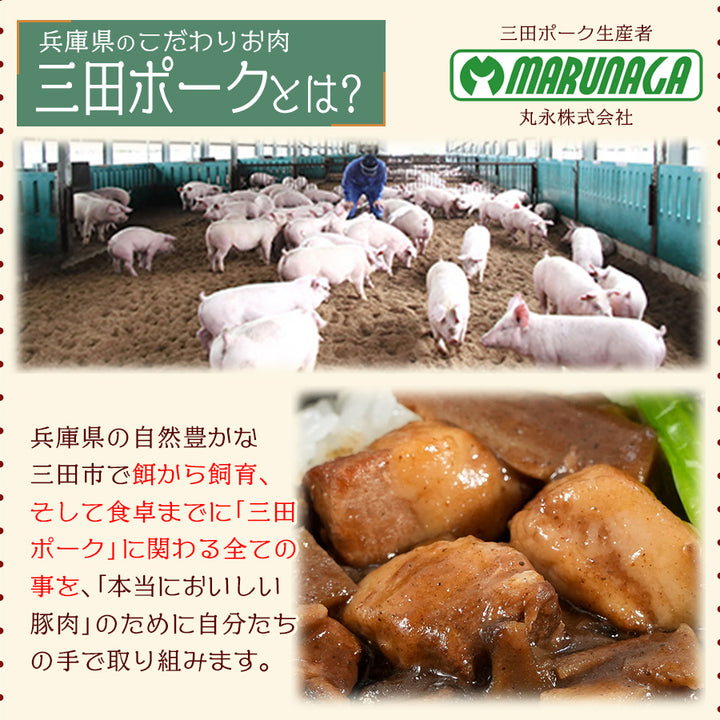 三田ポークのルーロー飯 台湾料理 魯肉飯 卵入り レトルト おつまみ おかず 惣菜 おつまみ キャンプ飯 贈り物 ギフト 肉 常温保存 –  自然派ストアSakura本店