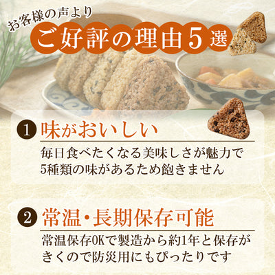 有機 発芽玄米 おにぎり レトルトご飯 5種10食セット