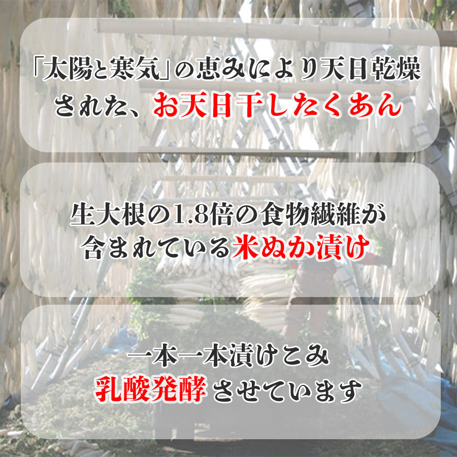 沢庵 宮崎県産 たくあん 無添加 九州天日干し沢庵（1本）日向漬け