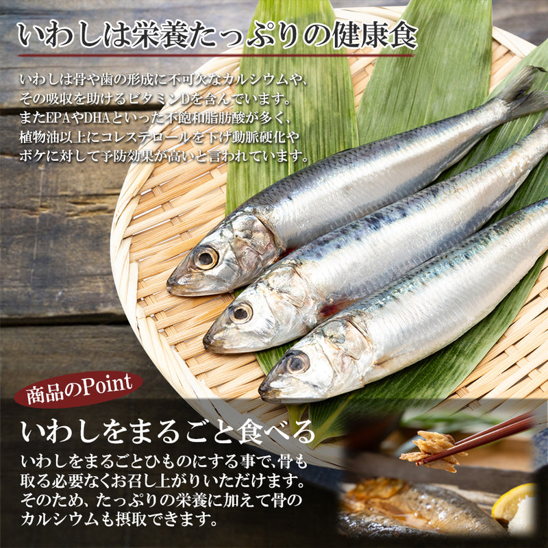 まるごとくん いわしのひもの 国産