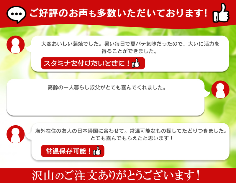 常温 レトルト 国産 うなぎ蒲焼き 110g 化学調味料無添加