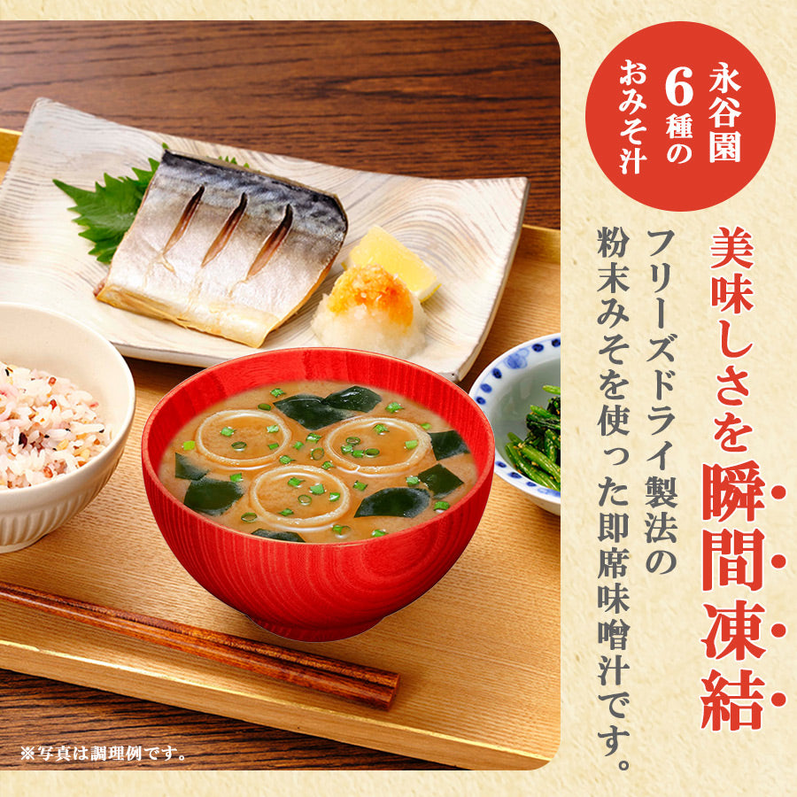 永谷園お味噌汁6種計96食セット フリーズドライ 粉末タイプ 赤だし