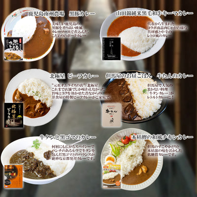 ご当地レトルト肉系カレー10種類セット(2)