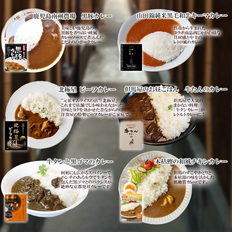 ご当地レトルト肉系カレー10種類セット(2)
