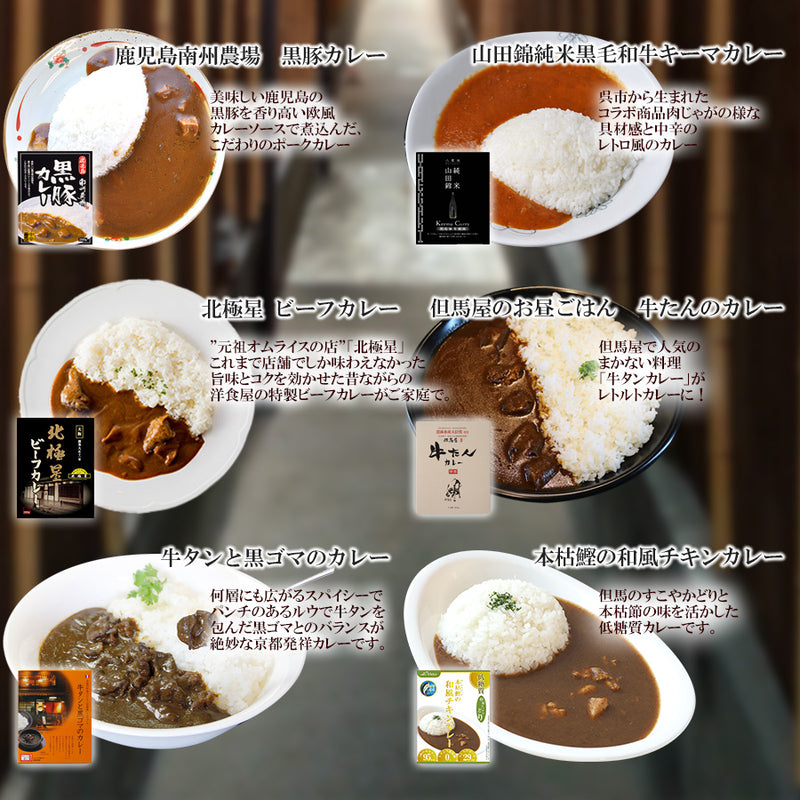 ご当地レトルト肉系カレー10種類セット(2)