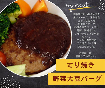 大豆ミートハンバーグ６食と大豆ミートレトルトカレー６食セット