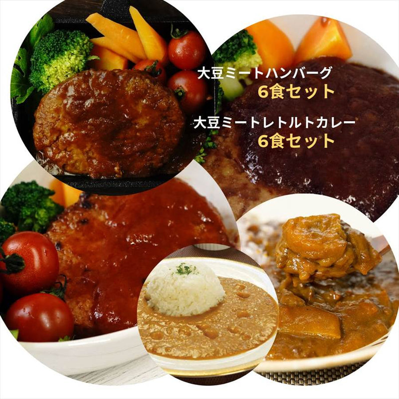 大豆ミートハンバーグ６食と大豆ミートレトルトカレー６食セット