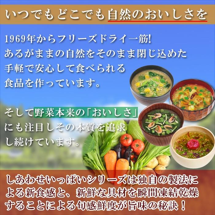 フリーズドライ　–　コスモス食品　化学調味料無添加　しあわせいっぱいスープセット10種20食セット　自然派ストアSakura本店　インスタント　贈り物