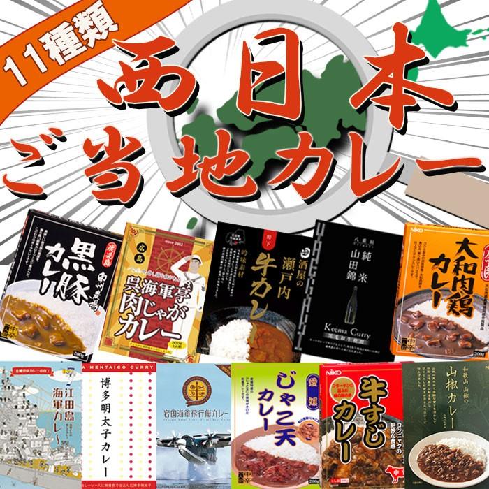 詰め合わせセット　11種類　レトルトカレー　レトルト食品　西日本　自然派ストアSakura本店　ご当地　–