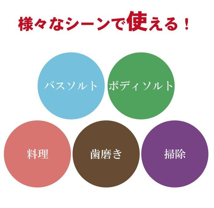 バリ島クサンバの業務用天日塩 ミネラルたっぷりのお徳用1kg