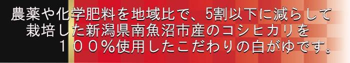 魚沼白がゆ250ｇ(たいまつ食品) 健康志向のレトルト食品 おかゆ 新潟県産こしひかり - 自然派ストア Sakura
