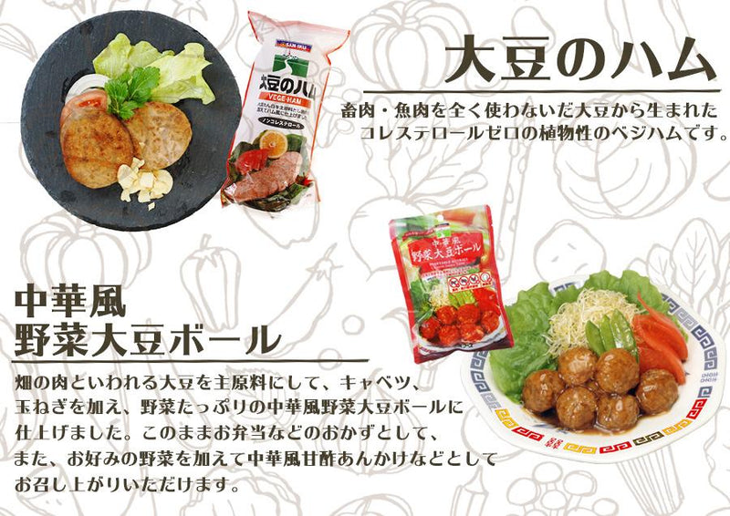 レトルト食品 惣菜 三育フーズ 大豆ミートを使った惣菜 お試し9種セット 食物性タンパク質 ベジタリアン - 自然派ストア Sakura