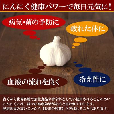 ４種類　国産にんにく　にんにく漬物 各100ｇ ニンニク （梅肉・たまり・キムチ・薬膳）