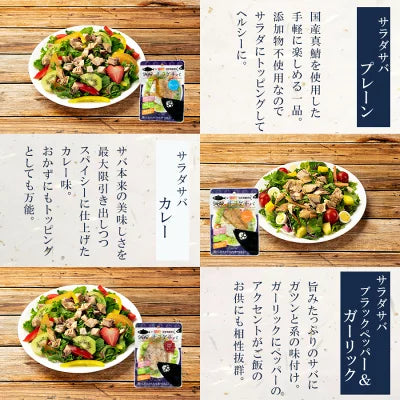 9種の魚おかずセット